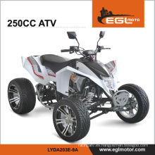 Carreras de 250cc Atv Quad 250 CEE